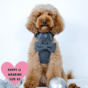 Slate Tweed Adjustable Dog Harness, Lead, Collar & Dog Walking Bag Bundle - Bailey and Coco (UK)