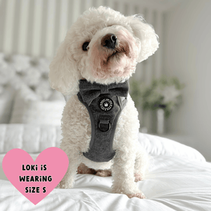 Slate Tweed Adjustable Dog Harness, Lead, Collar & Dog Walking Bag Bundle - Bailey and Coco (UK)