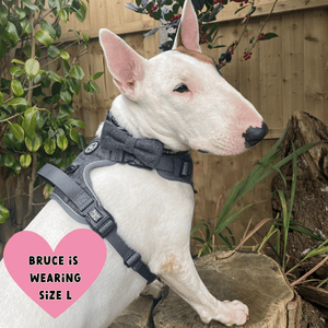 Slate Tweed Adjustable Dog Harness, Lead, Collar & Dog Walking Bag Bundle - Bailey and Coco (UK)