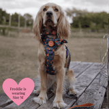 Spellbound Autumn Adjustable Dog Harness, Lead, Collar & Dog Walking Bag Bundle - Bailey and Coco (UK)