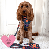 Spellbound Autumn Adjustable Dog Harness, Lead, Collar & Dog Walking Bag Bundle - Bailey and Coco (UK)