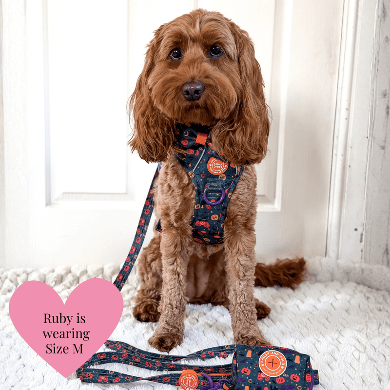 Spellbound Autumn Adjustable Dog Harness, Lead, Collar & Dog Walking Bag Bundle - Bailey and Coco (UK)