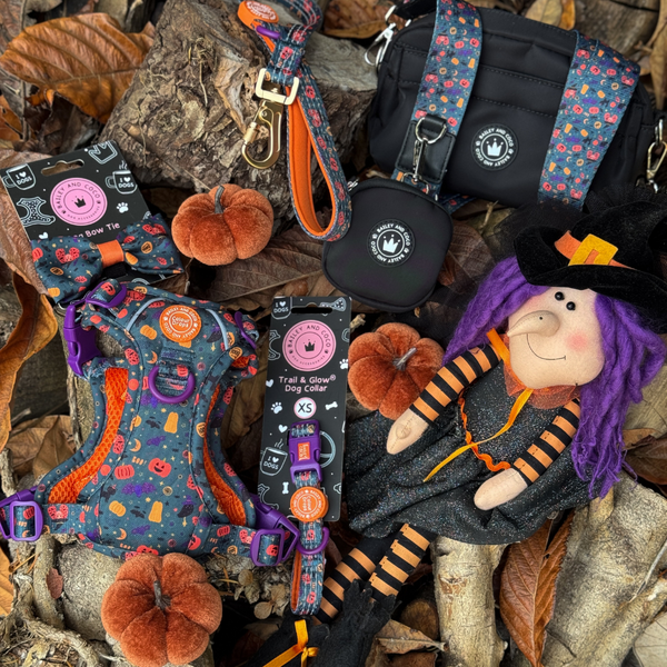 Spellbound Autumn Strap for Dog Walking Bag - alternate view