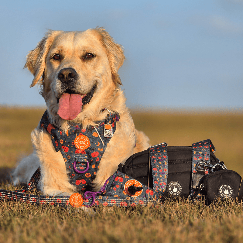 Spellbound Autumn Strap for Dog Walking Bag - Bailey and Coco (UK)