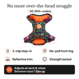 Spellbound Autumn Trail & Glow Dog Harness, Lead & Collar Bundle - Bailey and Coco (UK)