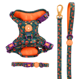 Spellbound Autumn Trail & Glow Dog Harness, Lead & Collar Bundle - Bailey and Coco (UK)