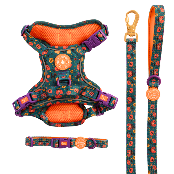 Spellbound Autumn Trail & Glow Dog Harness, Lead & Collar Bundle - Bailey and Coco (UK)