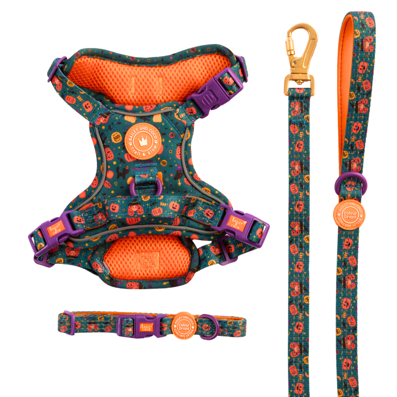 Spellbound Autumn Trail & Glow Dog Harness, Lead & Collar Bundle - Bailey and Coco (UK)