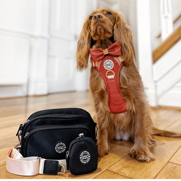 Spice it Up Adjustable Dog Harness, Lead, Collar & Dog Walking Bag Bundle - alternate view