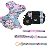 Spring Dreams Colour Drops - Adjustable Dog Harness, Lead, Collar & Mini Black Dog Walking Bag Bundle - Bailey and Coco (UK)