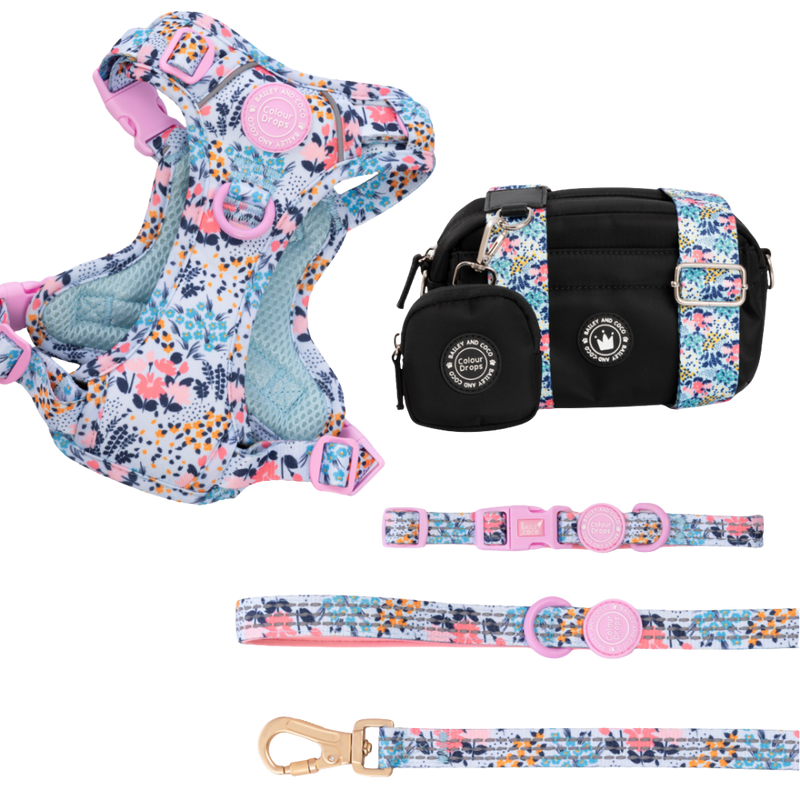 Spring Dreams Colour Drops - Adjustable Dog Harness, Lead, Collar & Mini Black Dog Walking Bag Bundle - Bailey and Coco (UK)