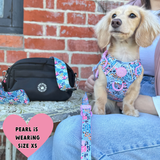 Spring Dreams Colour Drops - Adjustable Dog Harness, Lead, Collar & Mini Black Dog Walking Bag Bundle (Copy) - Bailey and Coco (UK)