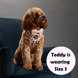 Trail & Glow® Dog Harness - Almond Tweed.