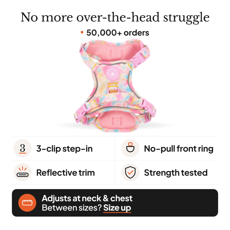 Tie Dye Dog Harness - Colour Drops - Candy Floss - Bailey and Coco (UK)
