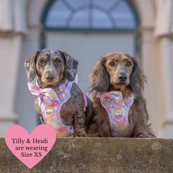 Tie Dye Dog Harness - Colour Drops - Candy Floss - Bailey and Coco (UK)