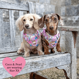 Tie Dye Dog Harness - Colour Drops - Candy Floss - Bailey and Coco (UK)