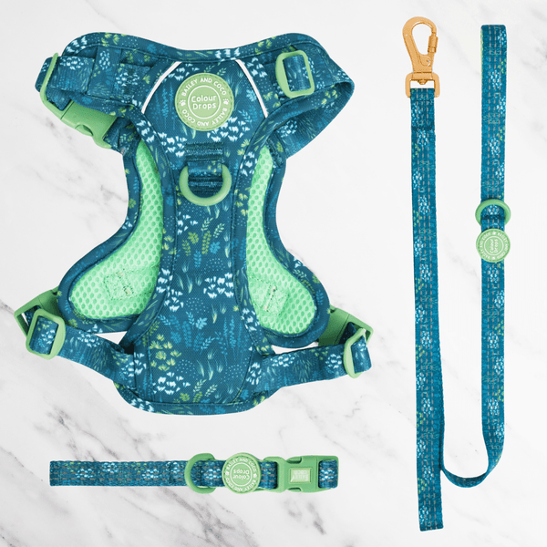 Touch Grass Adjustable Dog Harness, Lead & Collar Bundle - Bailey and Coco (UK)