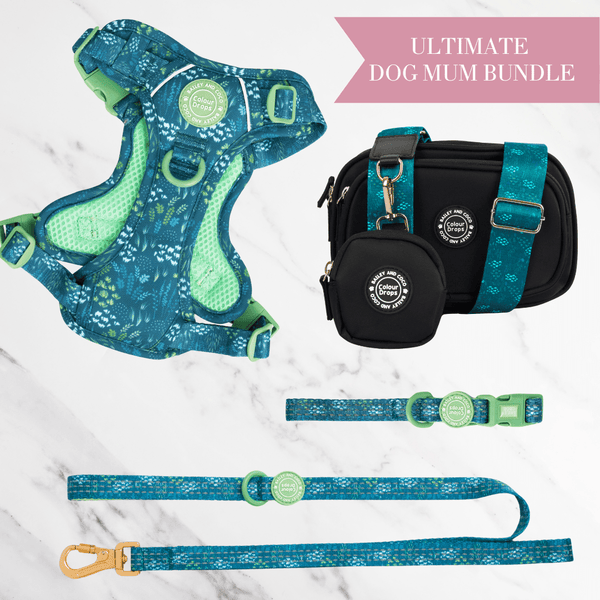 Touch Grass Adjustable Dog Harness, Lead, Collar & Dog Walking Bag Bundle - Bailey and Coco (UK)