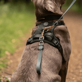 Traffic Handle Add-On for Double Ended Dog Lead – Jet Black - Bailey and Coco (UK)