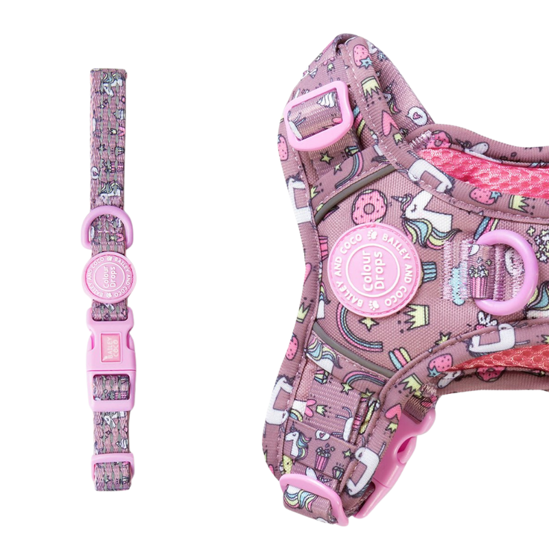 Trail & Glow Adjustable Collar - Colour Drops - Be Unique Unicorn - Bailey and Coco (UK)