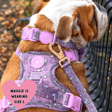 Trail & Glow Adjustable Collar - Colour Drops - Be Unique Unicorn - Bailey and Coco (UK)