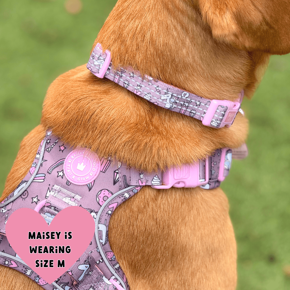 Trail & Glow Adjustable Collar - Colour Drops - Be Unique Unicorn - Bailey and Coco (UK)