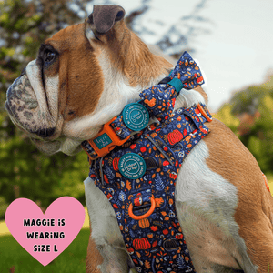 Trail & Glow® Adjustable Collar - COLOUR DROPS® - Bewitched - Bailey and Coco (UK)