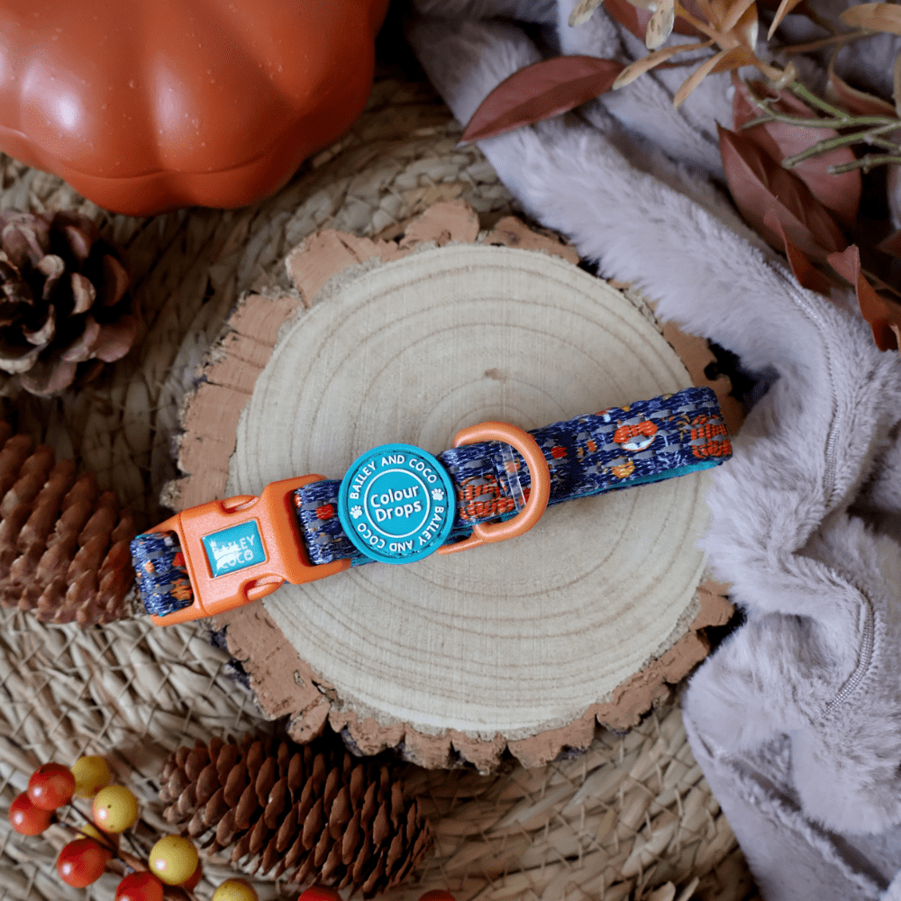 Trail & Glow® Adjustable Collar - COLOUR DROPS® - Bewitched - Bailey and Coco (UK)