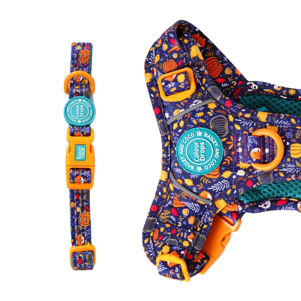 Trail & Glow® Adjustable Collar - COLOUR DROPS® - Bewitched - Bailey and Coco (UK)