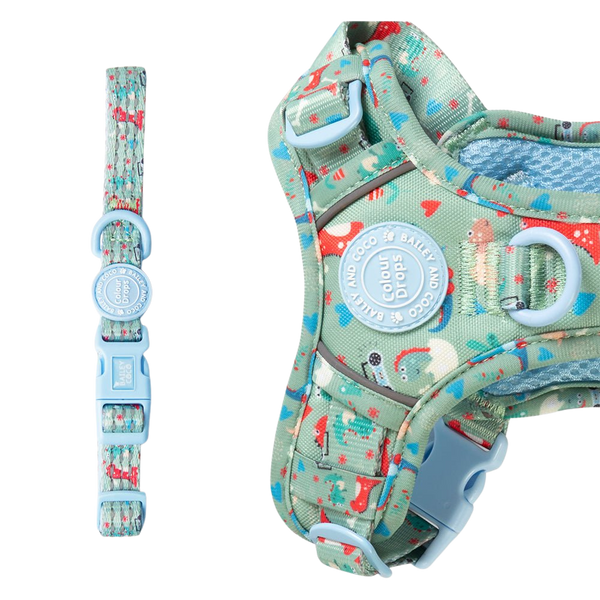 Trail & Glow Adjustable Collar - Colour Drops - Dino Party - Bailey and Coco (UK)