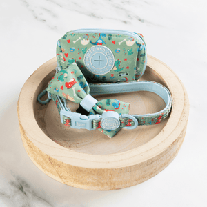 Trail & Glow Adjustable Collar - Colour Drops - Dino Party - Bailey and Coco (UK)