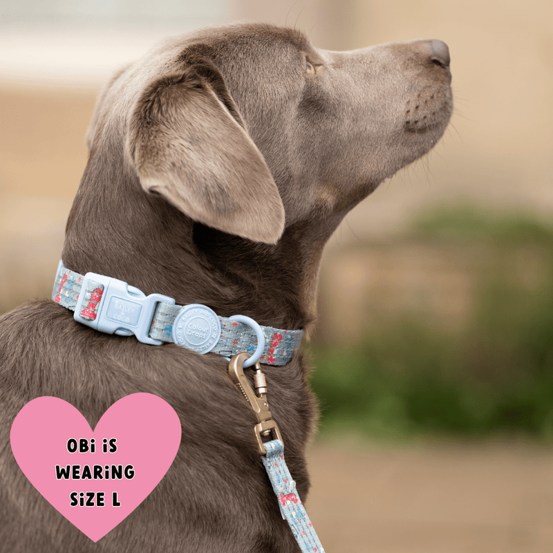 Trail & Glow Adjustable Collar - Colour Drops - Dino Party - Bailey and Coco (UK)