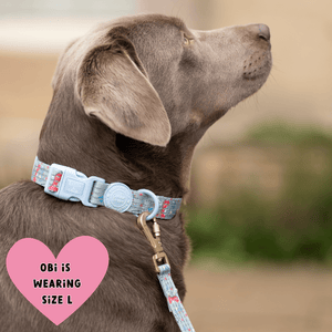 Trail & Glow Adjustable Collar - Colour Drops - Dino Party - Bailey and Coco (UK)