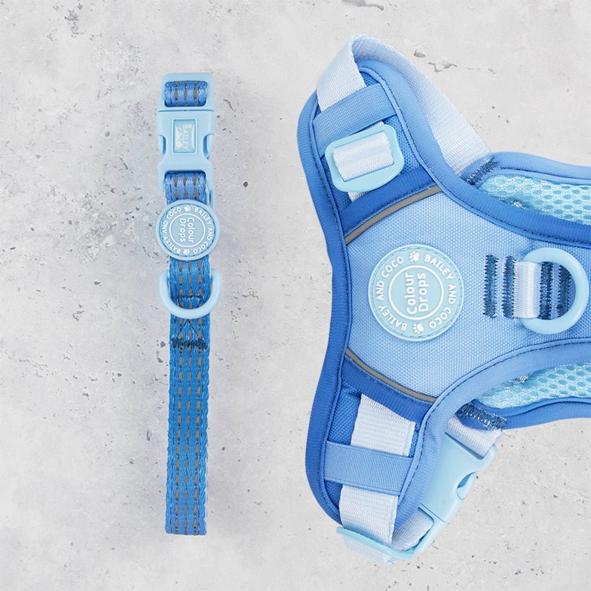 Trail & Glow® Adjustable Collar - COLOUR DROPS® - Head in the Clouds - Bailey and Coco (UK)