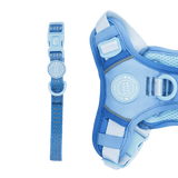 Trail & Glow® Adjustable Collar - COLOUR DROPS® - Head in the Clouds - Bailey and Coco (UK)