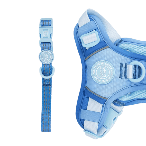 Trail & Glow® Adjustable Collar - COLOUR DROPS® - Head in the Clouds - Bailey and Coco (UK)