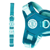Trail & Glow® Adjustable Collar - COLOUR DROPS® - Ice Teal - Bailey and Coco (UK)