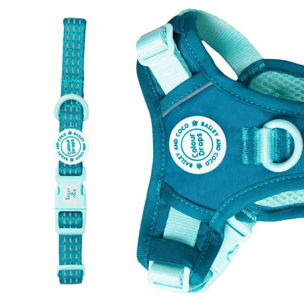Trail & Glow® Adjustable Collar - COLOUR DROPS® - Ice Teal - Bailey and Coco (UK)