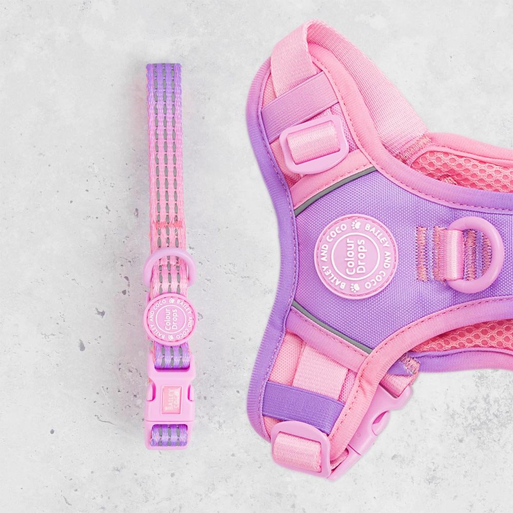 Trail & Glow® Adjustable Collar - COLOUR DROPS® - Love that for you - Bailey and Coco (UK)