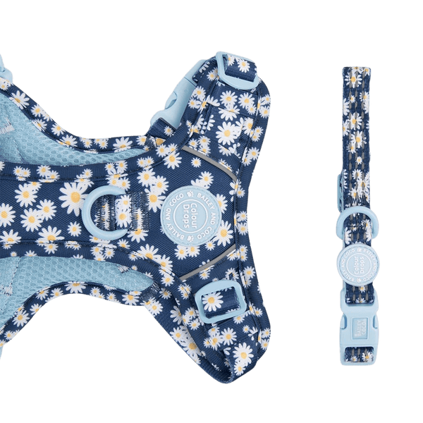 Trail & Glow Adjustable Collar - Colour Drops - Loves me, Loves me not - Bailey and Coco (UK)
