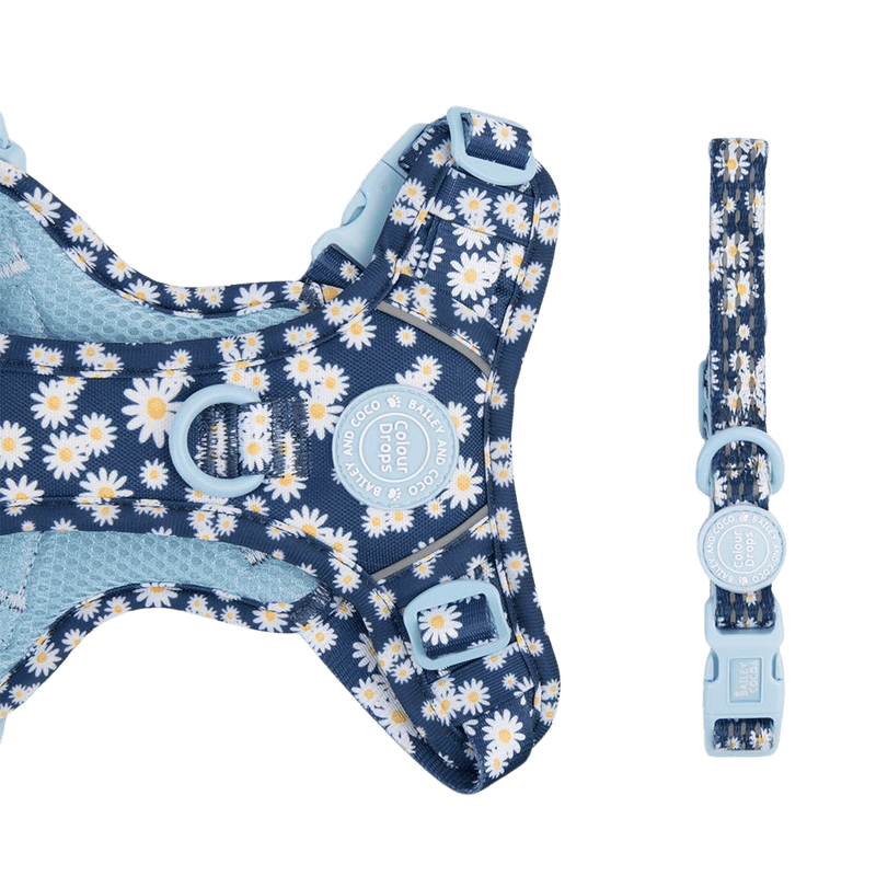 Trail & Glow Adjustable Collar - Colour Drops - Loves me, Loves me not - Bailey and Coco (UK)