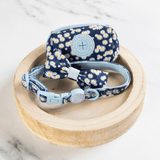 Trail & Glow Adjustable Collar - Colour Drops - Loves me, Loves me not - Bailey and Coco (UK)