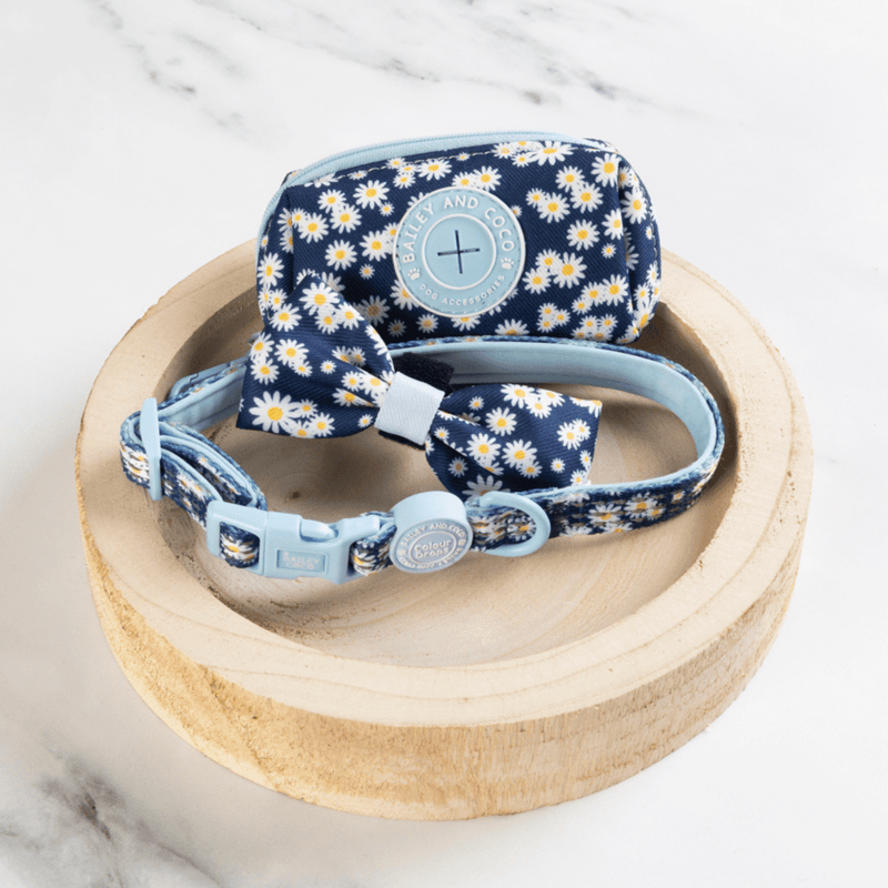 Trail & Glow Adjustable Collar - Colour Drops - Loves me, Loves me not - Bailey and Coco (UK)