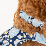 Trail & Glow Adjustable Collar - Colour Drops - Loves me, Loves me not - Bailey and Coco (UK)