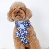 Trail & Glow Adjustable Collar - Colour Drops - Loves me, Loves me not - Bailey and Coco (UK)