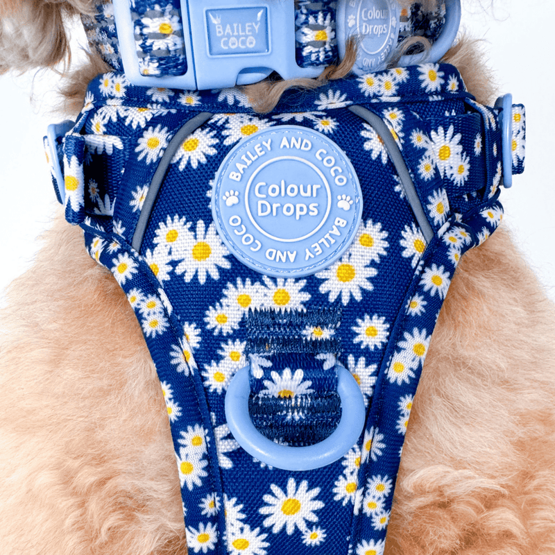 Trail & Glow Adjustable Collar - Colour Drops - Loves me, Loves me not - Bailey and Coco (UK)