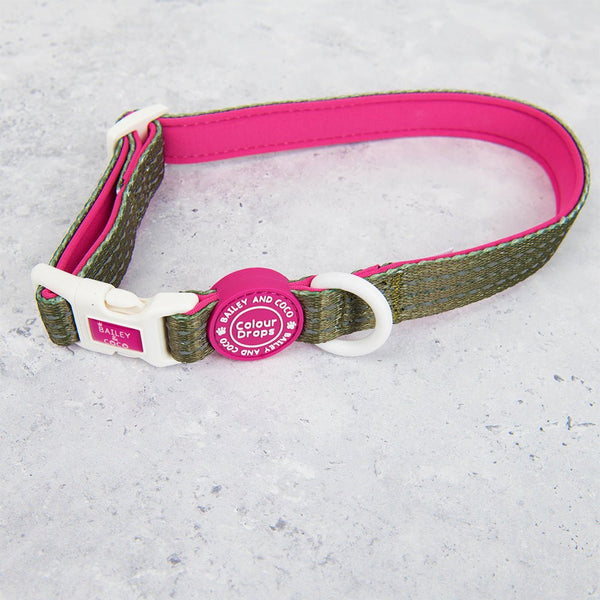 Trail & Glow® Adjustable Collar - COLOUR DROPS® - Olive it Hot - alternate view