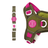 Trail & Glow® Adjustable Collar - COLOUR DROPS® - Olive it Hot - Bailey and Coco (UK)
