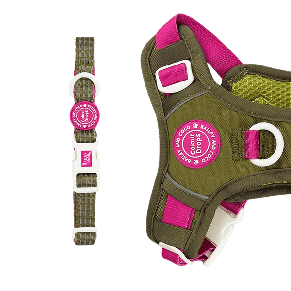 Trail & Glow® Adjustable Collar - COLOUR DROPS® - Olive it Hot - Bailey and Coco (UK)