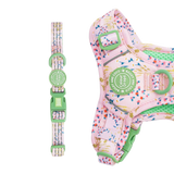Trail & Glow® Adjustable Collar - COLOUR DROPS® - Pick Me - Bailey and Coco (UK)